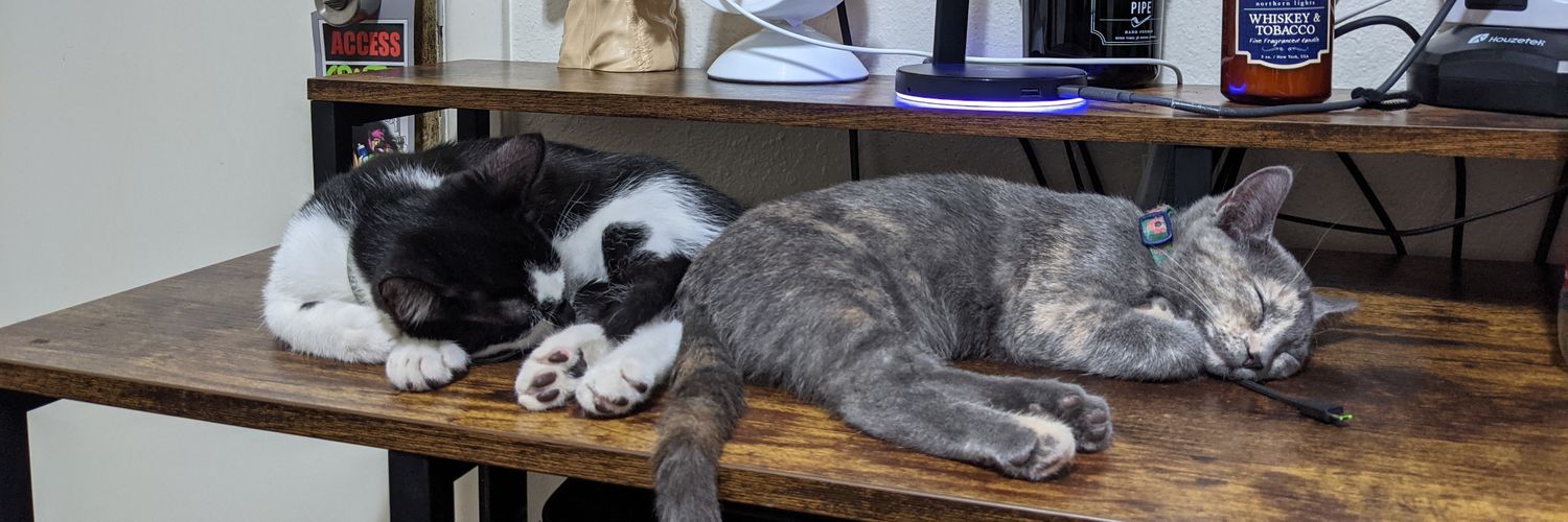 Zen Master Fido banner