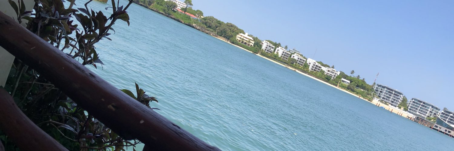 pmvoi's profile banner image