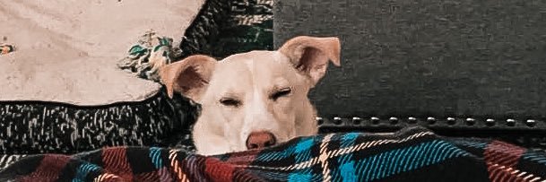 delsullivan_'s profile banner image