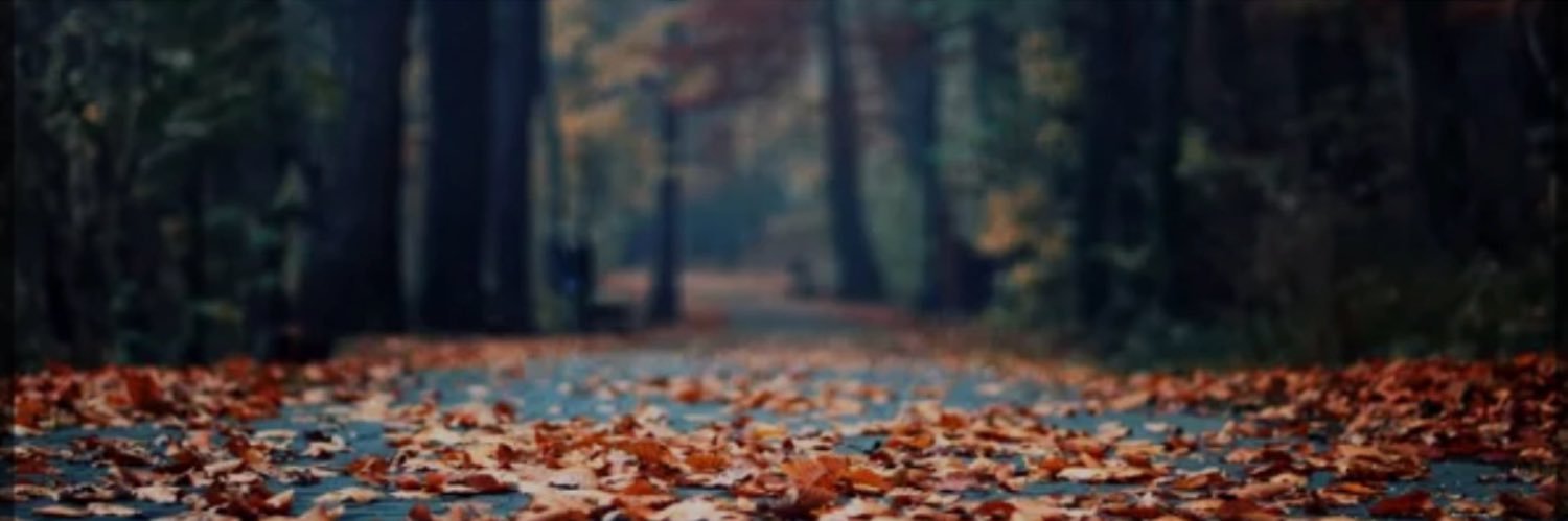 Ms.Jamie™️ banner