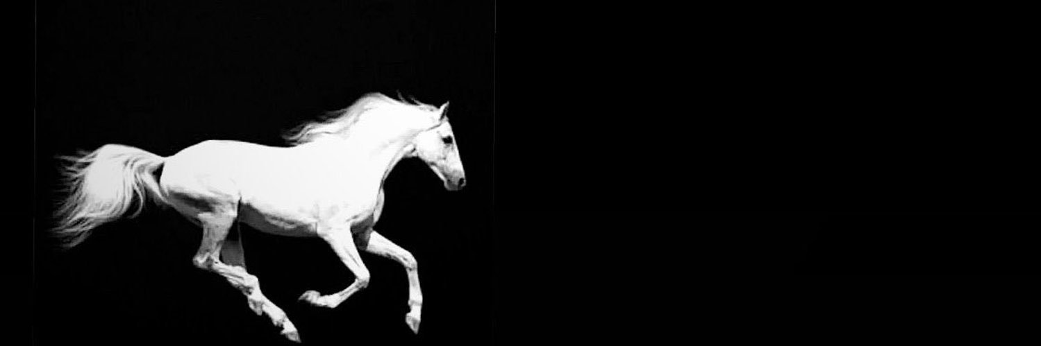 es_aseeri's profile banner image