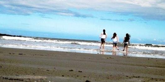thalyadc's profile banner image