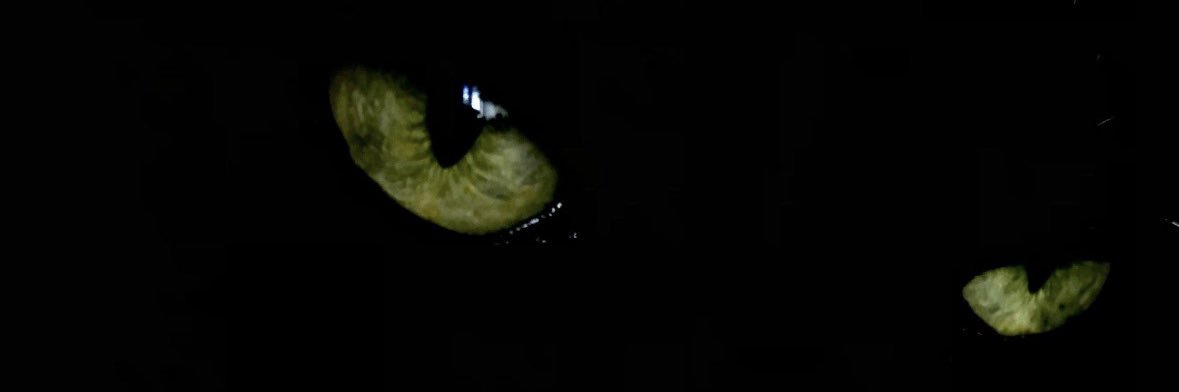 VelasquezIrving's profile banner image