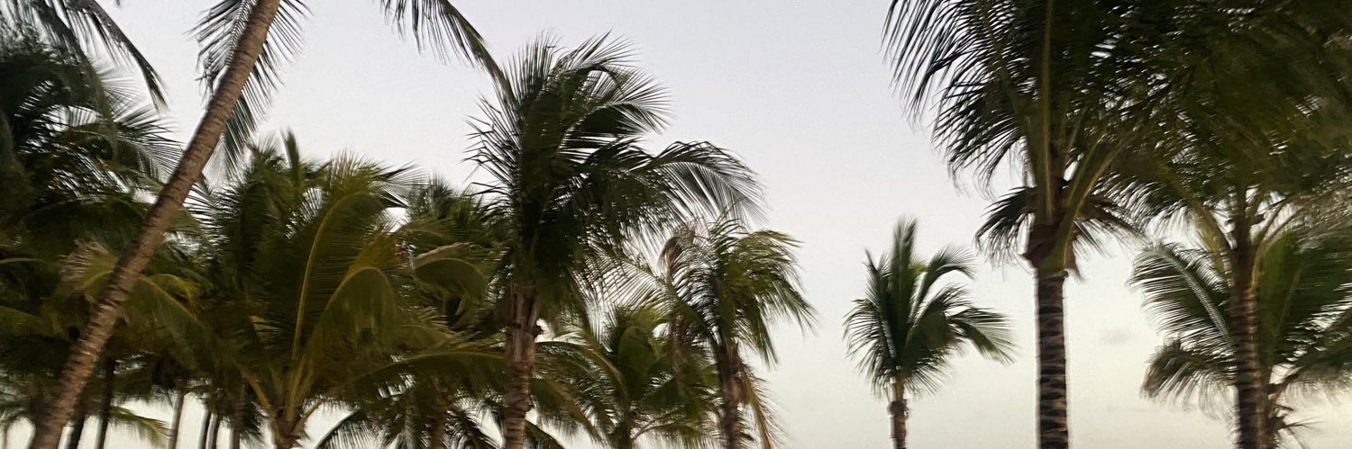 s_2_muffin's profile banner image