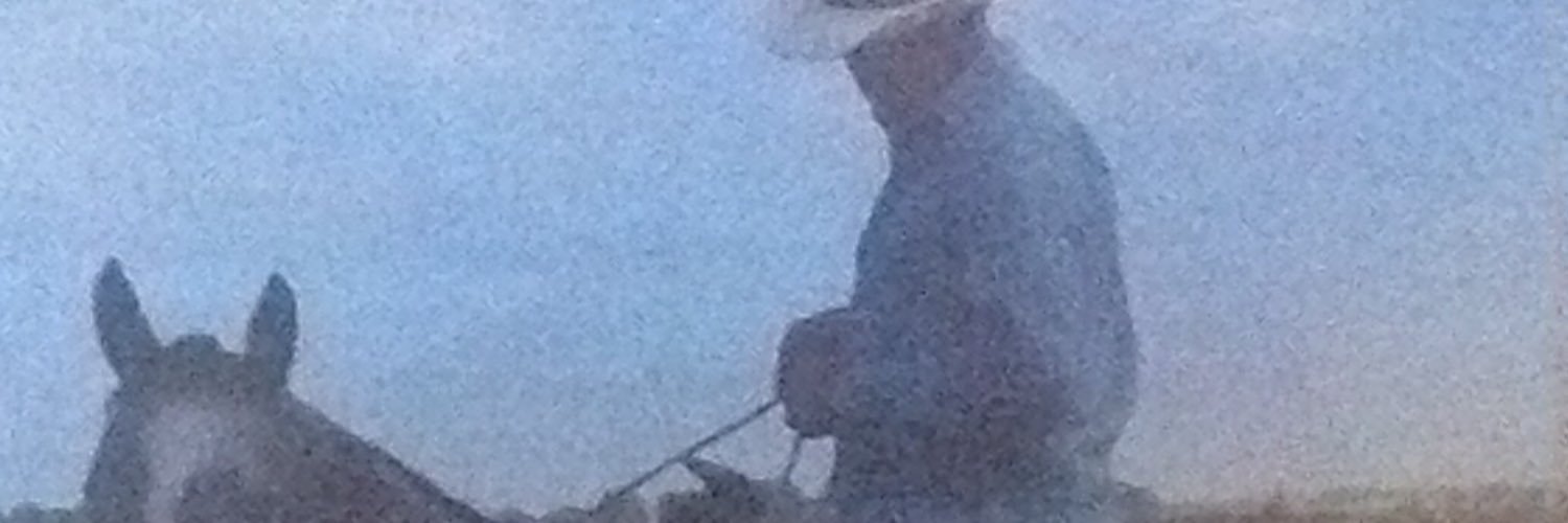 VetterRon's profile banner image