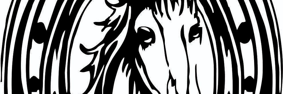 PeterSelolo's profile banner image