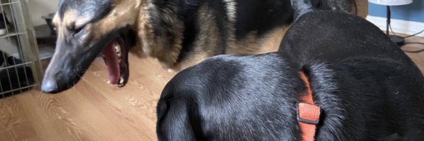 HeyDaveKim Profile Banner