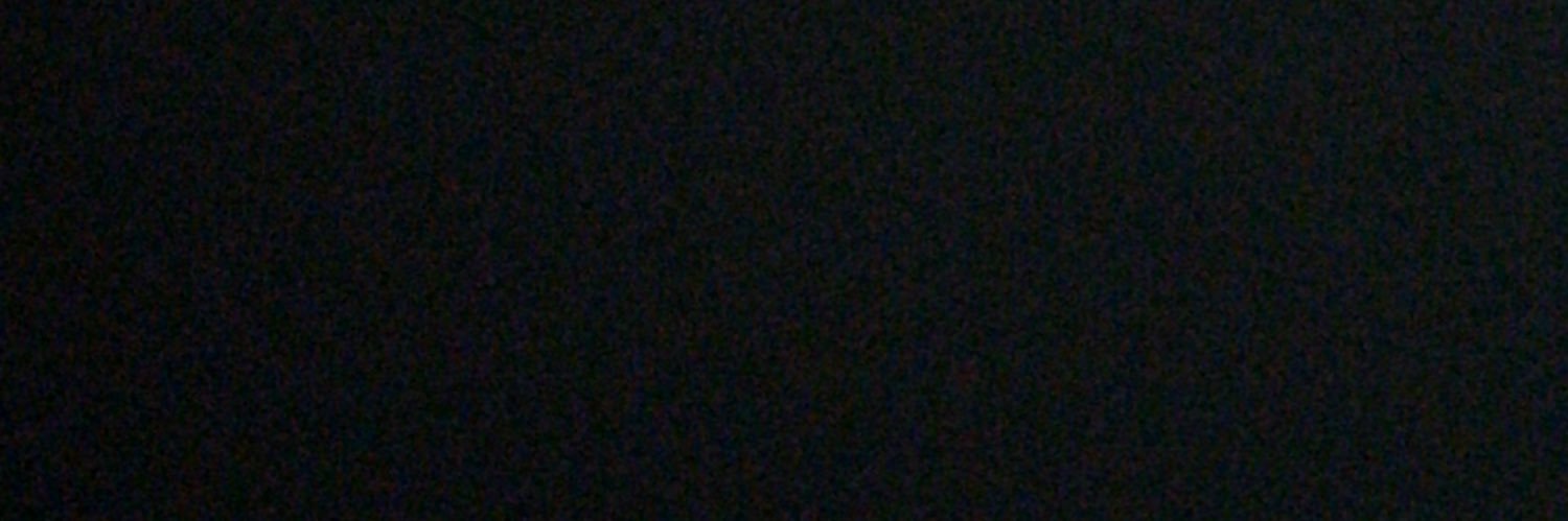LyTulip's profile banner image