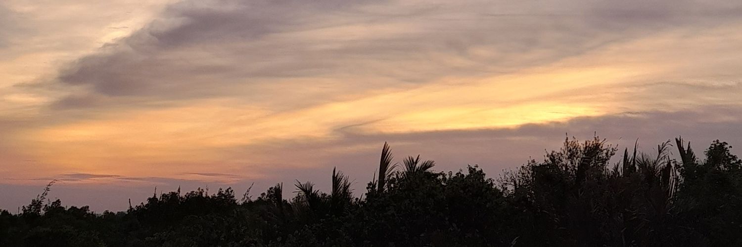 nnaadaisy's profile banner image