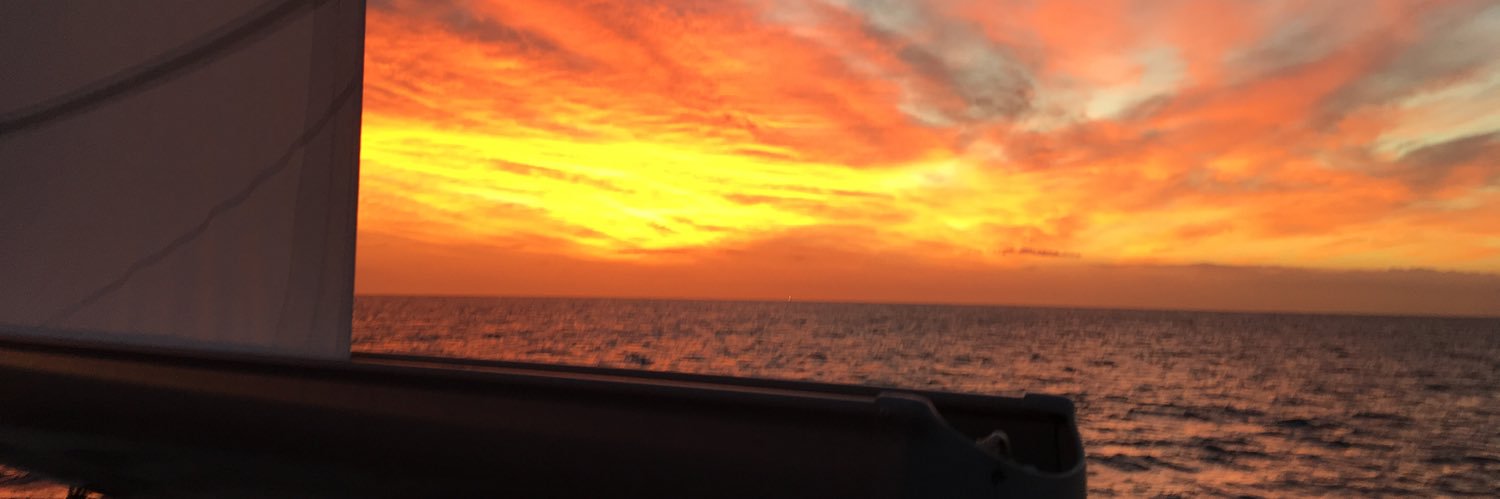brunoleger's profile banner image