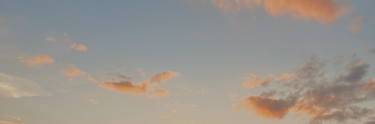 snemoly's profile banner image