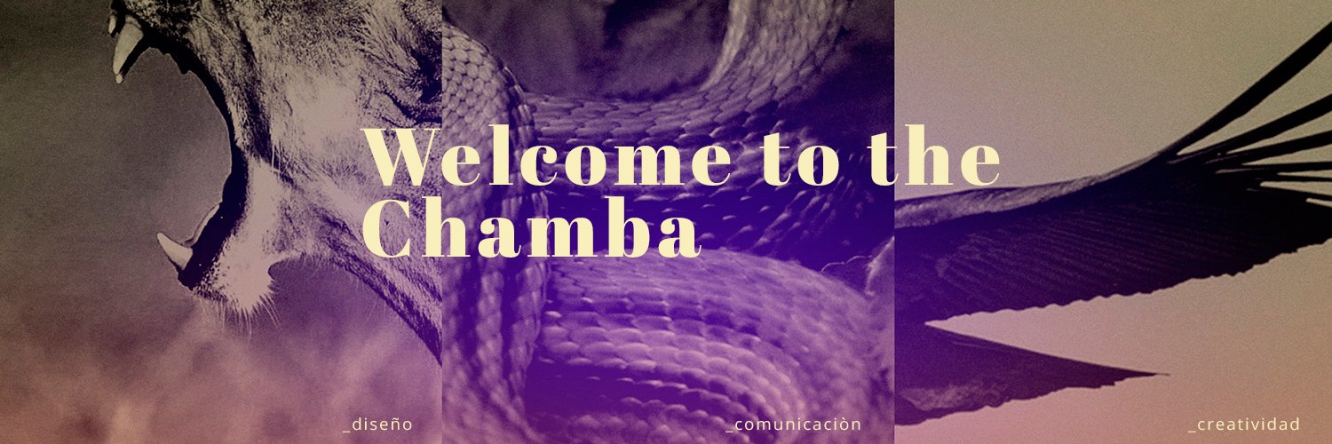chambaestudio's profile banner image