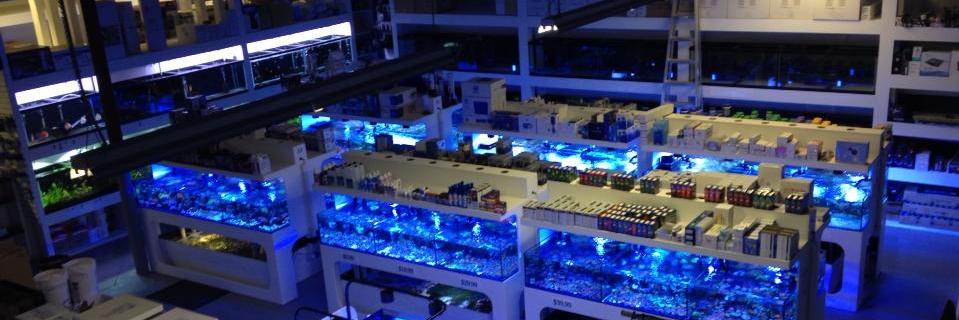 NeptuneAquatics's profile banner image