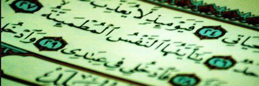صدقه عن أبو فهد ~ banner