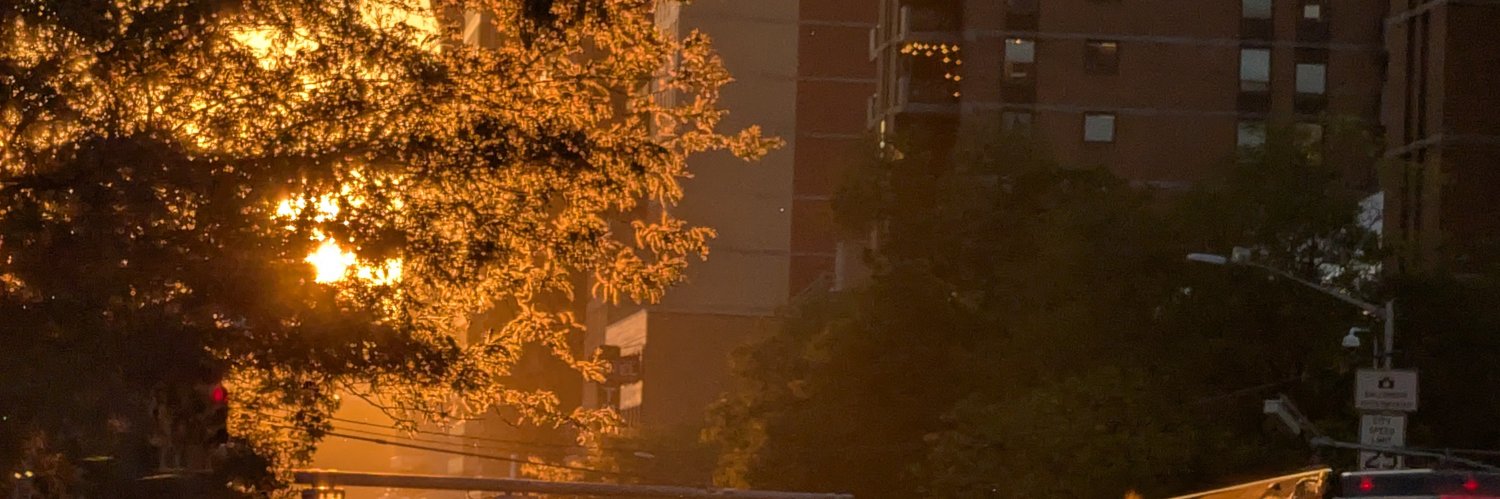 slimeech's profile banner image