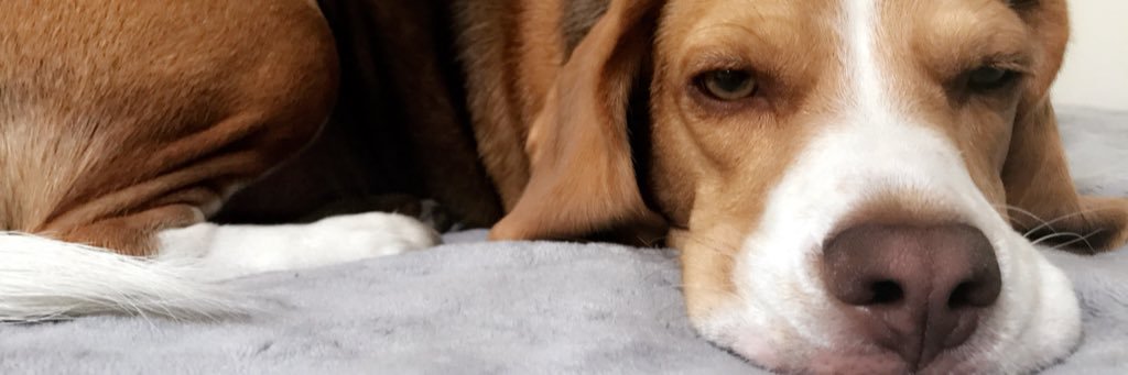 GelssyRod's profile banner image
