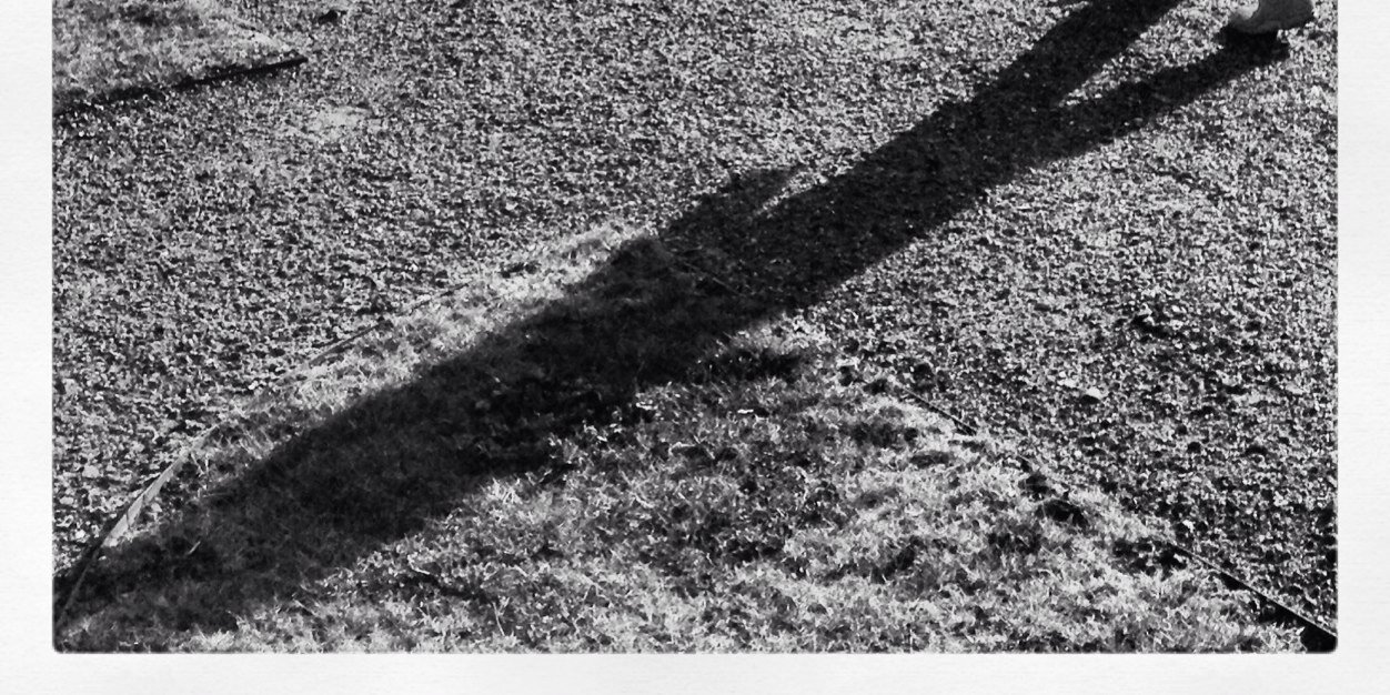 drnod69's profile banner image