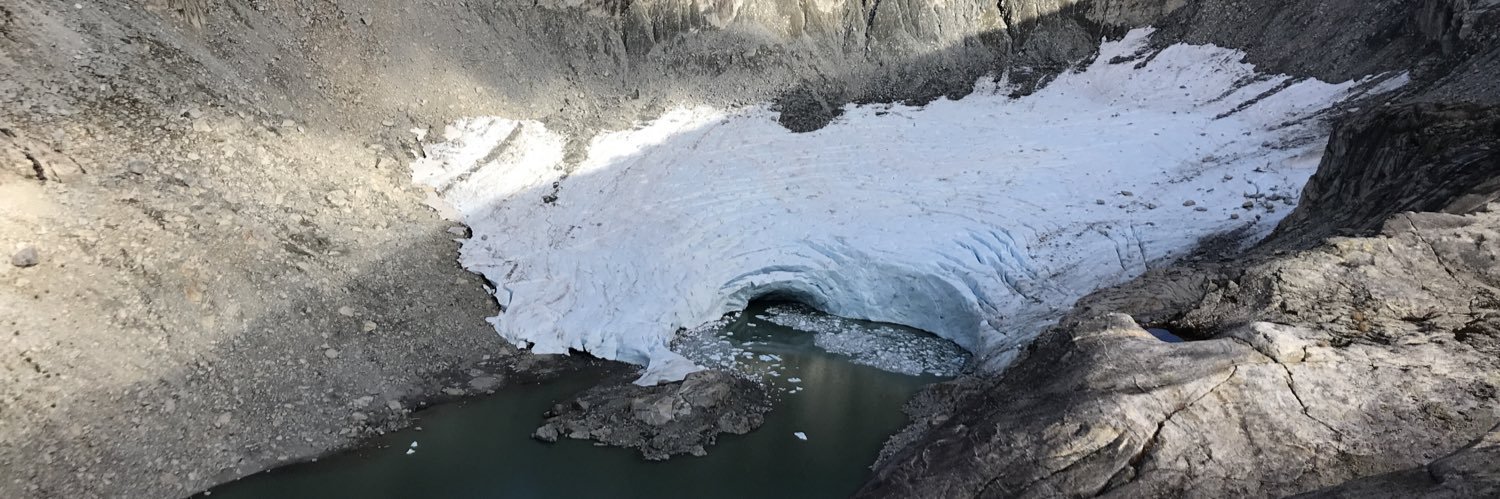Simon Whitfield banner