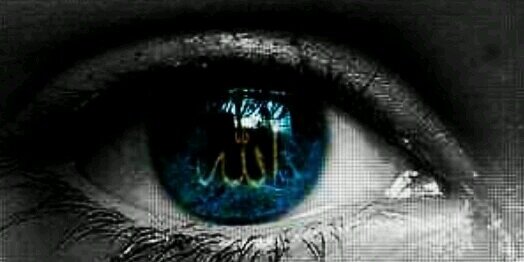 adelkadym's profile banner image