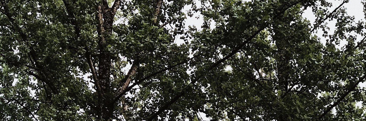 _hugto's profile banner image