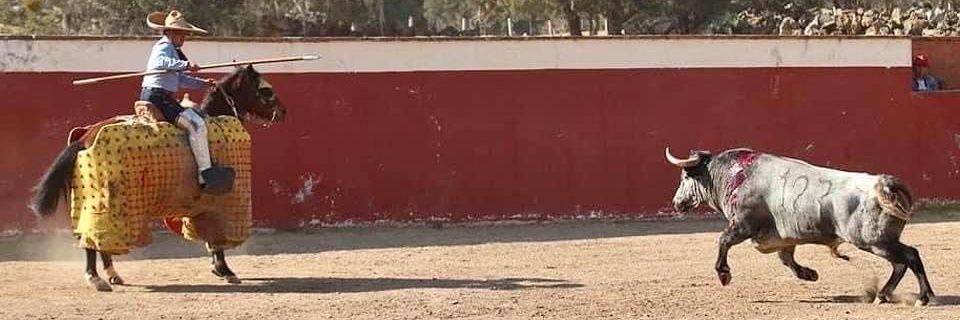 danielmulliro's profile banner image