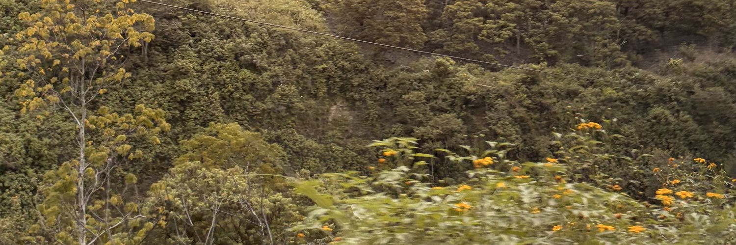 christyou_'s profile banner image