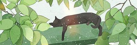 🍀 Lucky Saint Iván 🍀 banner