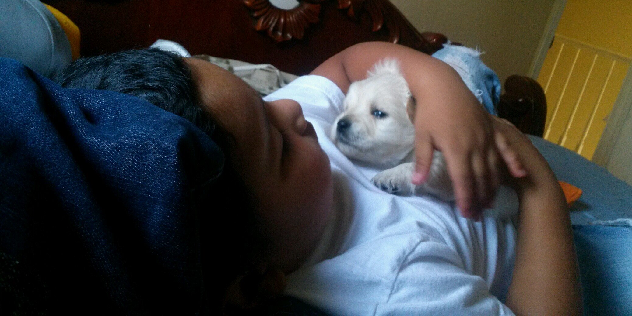 cmunoz297's profile banner image