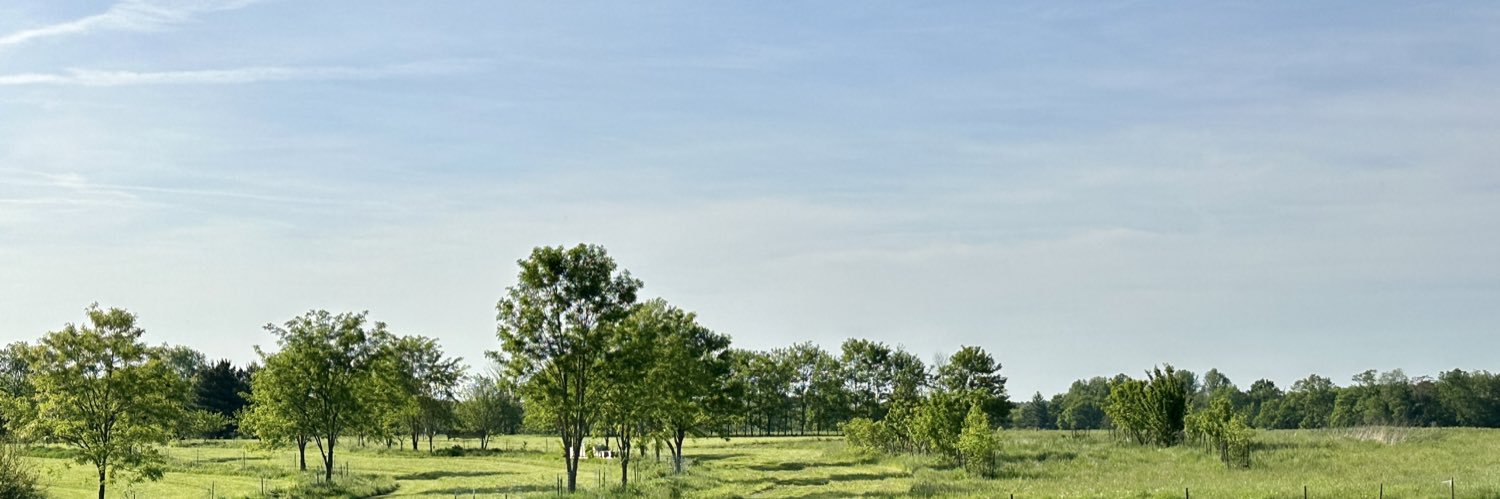 Marisa Neal banner