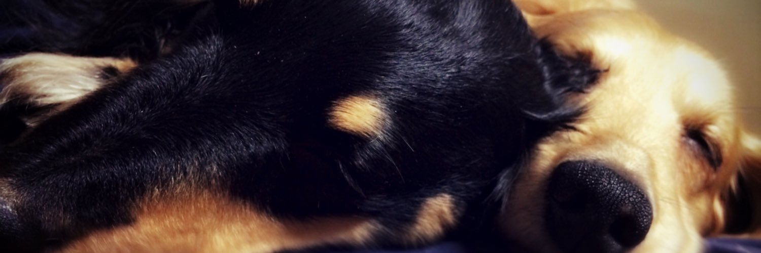 Miii91O's profile banner image