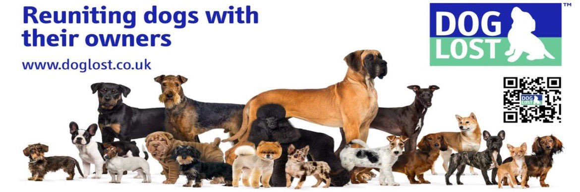 DogLost banner
