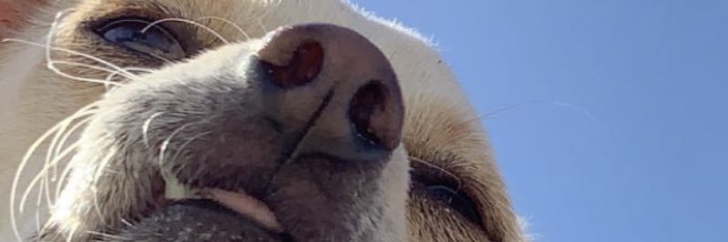 joseph_2bae's profile banner image