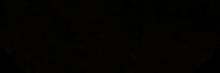 pawprint3DS's profile banner image