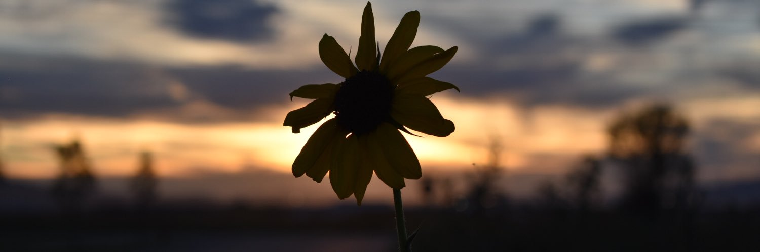 NatalieSumsion's profile banner image