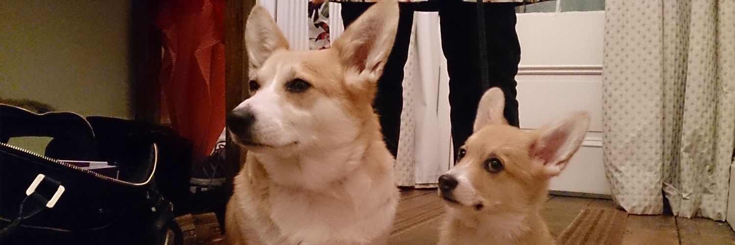 Rebecca Afonwy Jones 🏴󠁧󠁢󠁷󠁬󠁳󠁿 banner