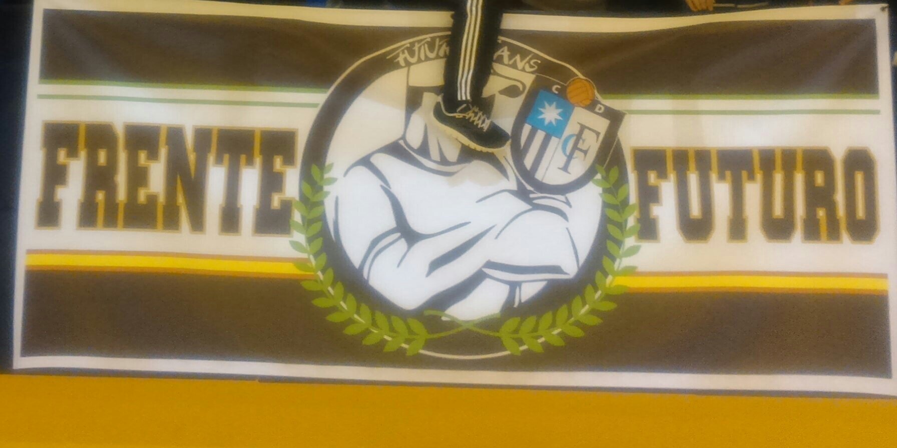 frentefuturo's profile banner image