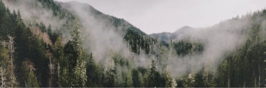 🖤 banner