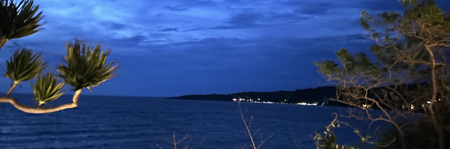 fmarinalt's profile banner image