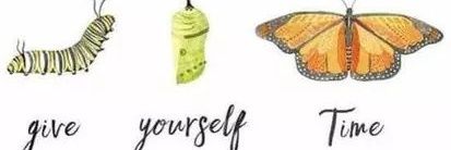 NS_dma's profile banner image