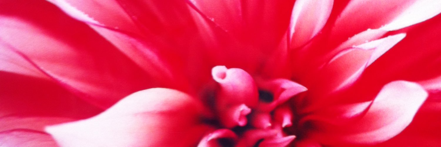 maiii2074's profile banner image