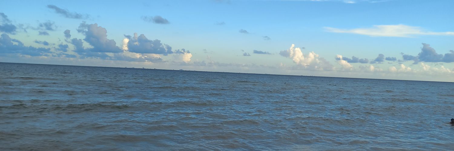 angelherrera16's profile banner image