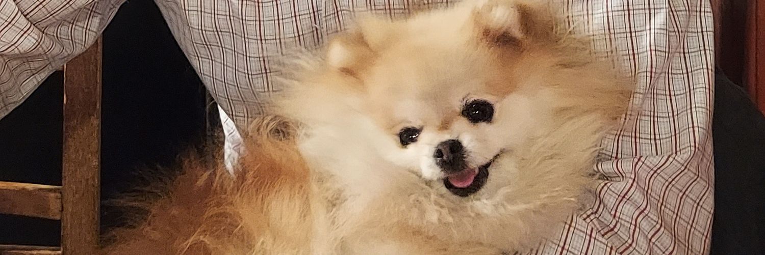 fclupje's profile banner image