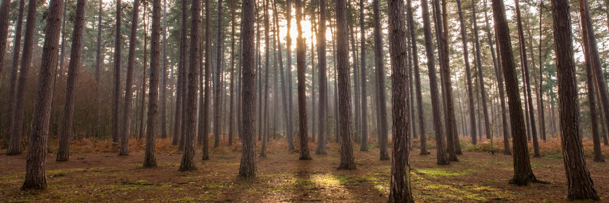 Bucks Country Parks banner