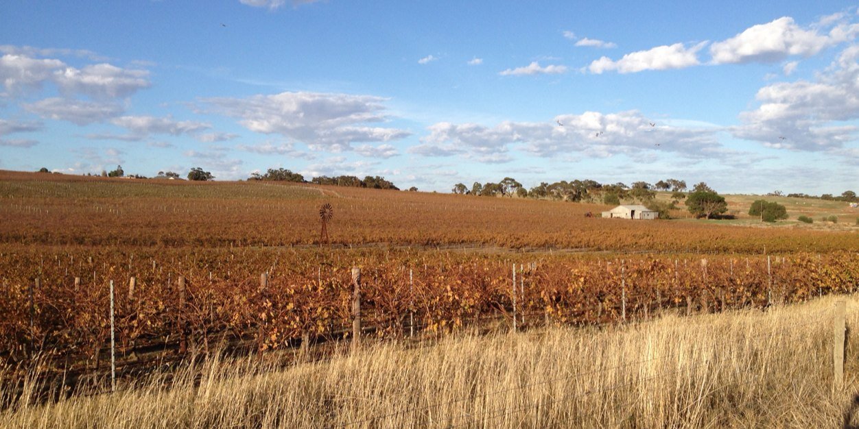 Alex Milner-Smyth banner