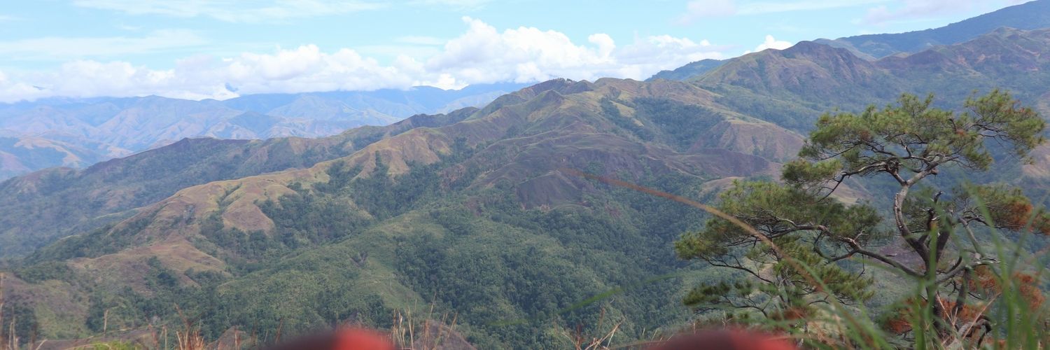 bileticks's profile banner image