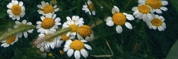 B__A__J's profile banner image