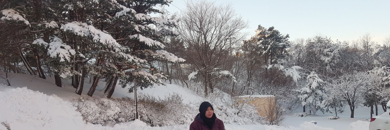 ayamirsan's profile banner image