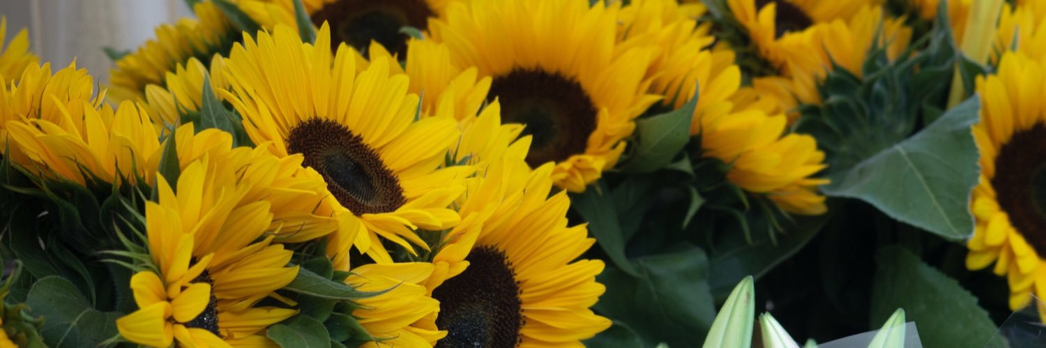 nargiskiphool's profile banner image