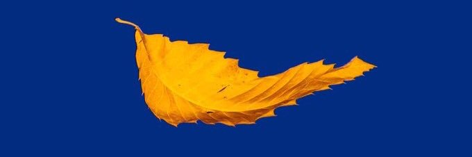 HeScoresGoals's profile banner image