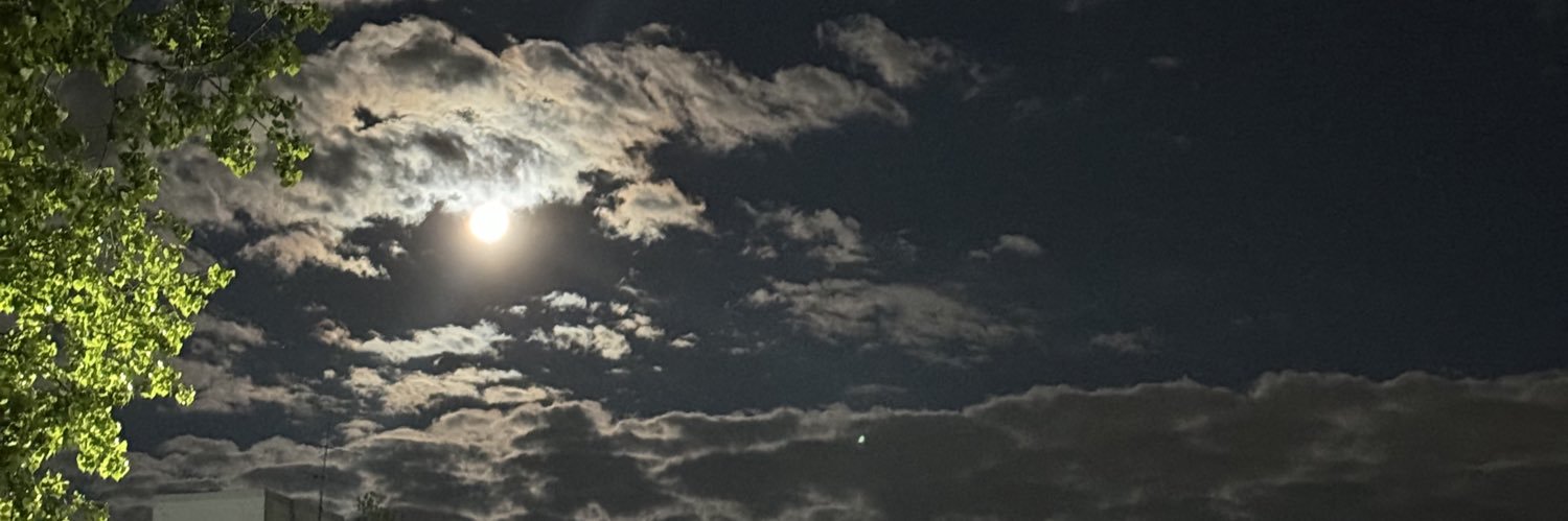 Fredolaw's profile banner image